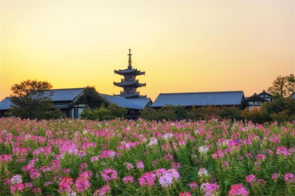�ƽ�������ƽ������黨�塰��ϲ����ʮ���꣬����˫�ڻʢ�� 